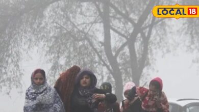 राजस्थान के शेखावाटी में ठंड चरम पर! भीलवाड़ा-वनस्थली में 10°C तक पहुंचा तापमान, सीकर रहा सबसे ठंडा शहर
