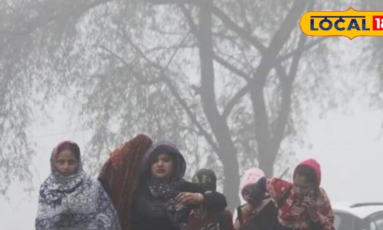 राजस्थान के शेखावाटी में ठंड चरम पर! भीलवाड़ा-वनस्थली में 10°C तक पहुंचा तापमान, सीकर रहा सबसे ठंडा शहर