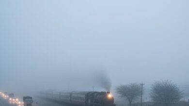 राजस्थान में बारिश के बाद कोहरे की दस्तक, सुबह-सुबह संभलकर चलें...