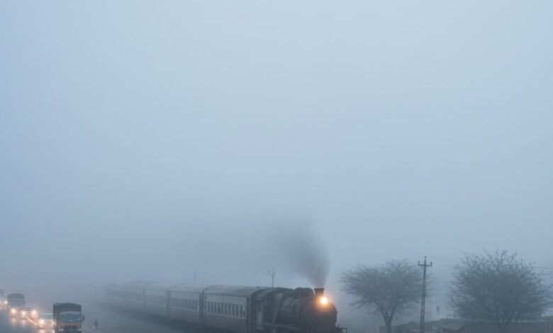 राजस्थान में बारिश के बाद कोहरे की दस्तक, सुबह-सुबह संभलकर चलें...