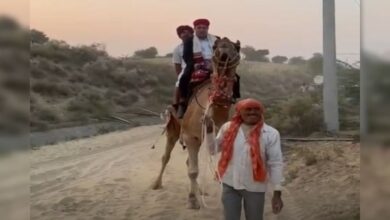 रेत के समंदर में दौड़ा लोकतंत्र! ऊंटों पर सवार एसडीएम–बीएलओ पहुंचे हर मतदाता तक