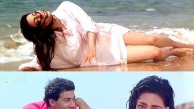 लुटेरे फिल्म 1993 जूही चावला सनी देओल की ब्लॉकबस्टर और हिट गाने.