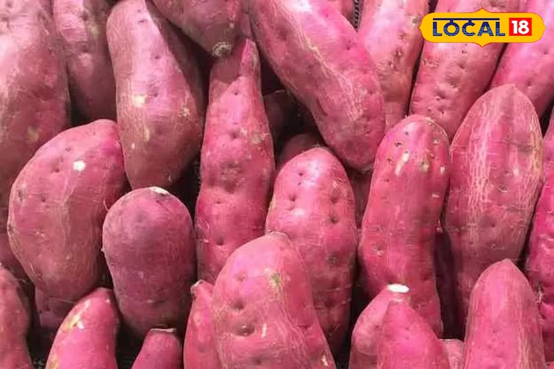 टिप्स एंड ट्रिक्स टिप्स एंड ट्रिक्स