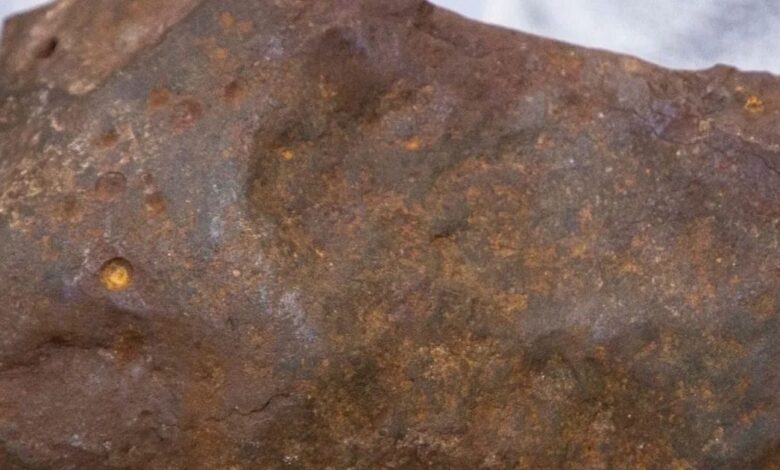 शख्स ने सोना समझकर सालों तक पत्थर संभालकर रखा, पर निकली उससे भी बेशकीमती चीज, चौंधिया गईं साइंटिस्ट की आंखें