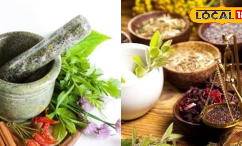 शरीर और मन के लिए प्राकृतिक टॉनिक.... इस जड़ी बूटी से दूर होंगी बीमारियां, जानिए आयुर्वेद का चमत्कार