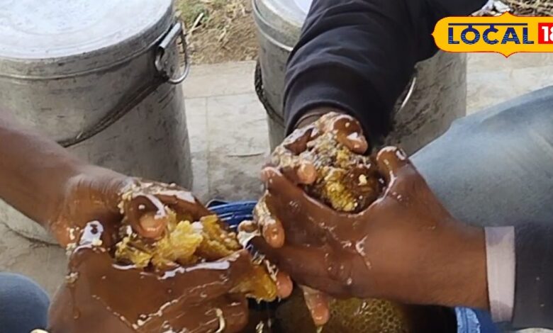 शहद के फायदे: मौसम के अनुसार बदलते हैं रंग, होते हैं गजब के फायदे, सुबह लिया तो वेट लॉस में भी असरदार, बढ़ाए इम्यूनिटी