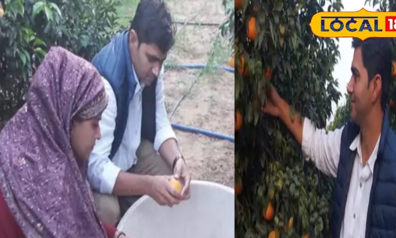 सरकारी नौकरी नहीं मिली तो बदली राह! सीकर के दंपति ने शुरू की किन्नू बागवानी, अब सालाना लाखों में कमा रहे मुनाफा