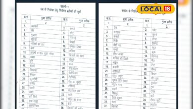 सरपंच चुनाव में अनोखे सिंबल की भरमार! जानिए कैसे मिलते हैं जूता, तकिया या भिंडी जैसे निशान