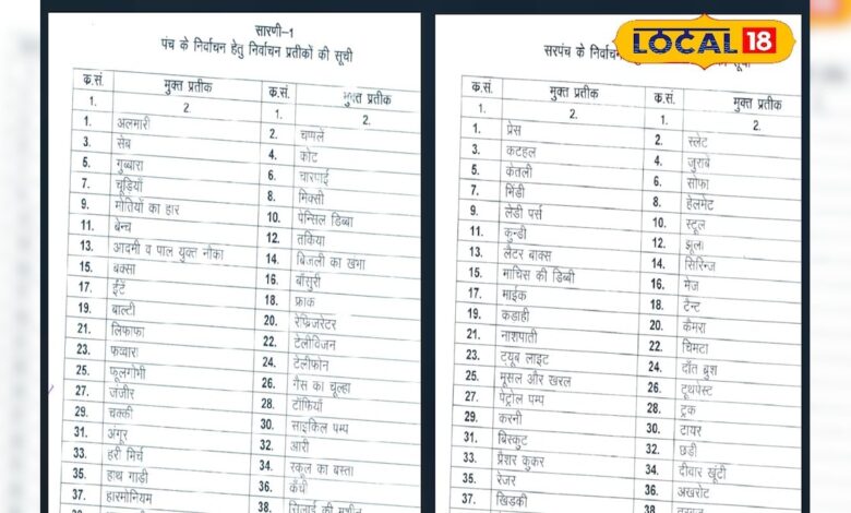 सरपंच चुनाव में अनोखे सिंबल की भरमार! जानिए कैसे मिलते हैं जूता, तकिया या भिंडी जैसे निशान