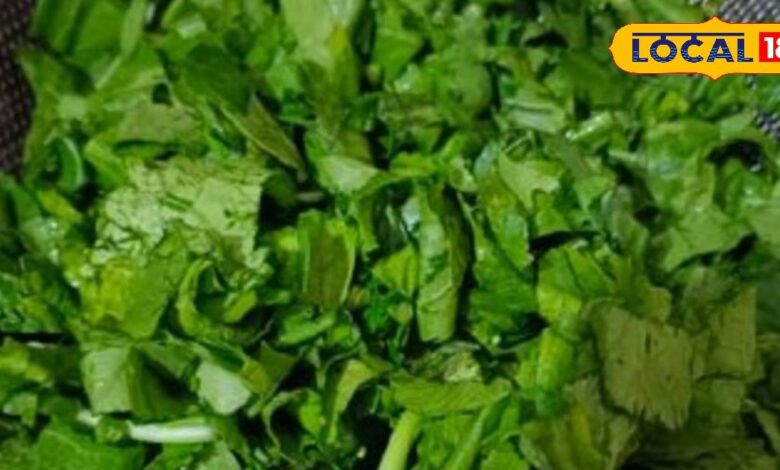 सरसों के साग में छुपा है सेहत का खजाना! जानें कैसे ये एक सब्जी दूर कर सकती है शरीर की 8 परेशानियां - Uttar Pradesh News