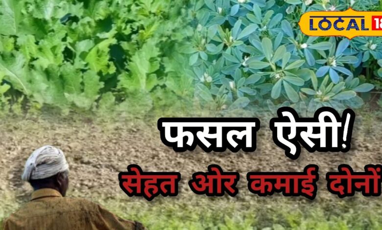 सर्दियों में पालक, मेथी, सरसों की खेती से कम लागत में ज्यादा मुनाफा.