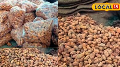 सर्दियों में भरतपुर में इंदौर के मीठे और मुलायम छुहारों के मिनी ट्रक बनते हैं लोगों की पहली पसंद, स्वाद और भरोसे के साथ बढ़ती मांग