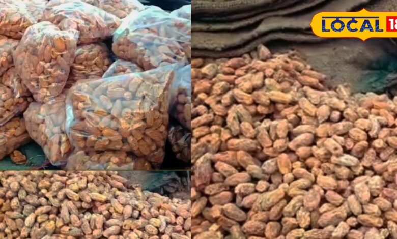 सर्दियों में भरतपुर में इंदौर के मीठे और मुलायम छुहारों के मिनी ट्रक बनते हैं लोगों की पहली पसंद, स्वाद और भरोसे के साथ बढ़ती मांग