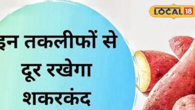 सर्दियों में रोज खाएं शकरकंदी, शरीर रहेगा गर्म और इम्यूनिटी होगी डबल, चेहरे पर आएगा नैचुरल ग्लो