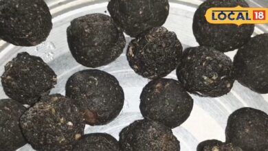 सर्दी-खांसी पास नहीं भटकेगी! ‘सोंठ लड्डू’ परंपरा बनी गांव से शहर तक का सुपरफूड, डिलीवरी के बाद दें खुराक - Chhattisgarh News