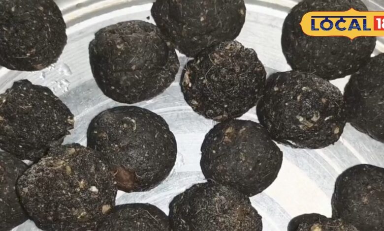 सर्दी-खांसी पास नहीं भटकेगी! ‘सोंठ लड्डू’ परंपरा बनी गांव से शहर तक का सुपरफूड, डिलीवरी के बाद दें खुराक - Chhattisgarh News