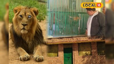 सर्दी बढ़ते ही बदली माचिया के वन्यजीवों की खुराक, जानें क्या-क्या मिला नई डाइट में