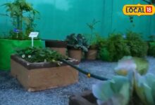 सिरोही तपोवन में 5 लेयर फार्मिंग मॉडल से ऑर्गेनिक खेती का सफल तरीका.