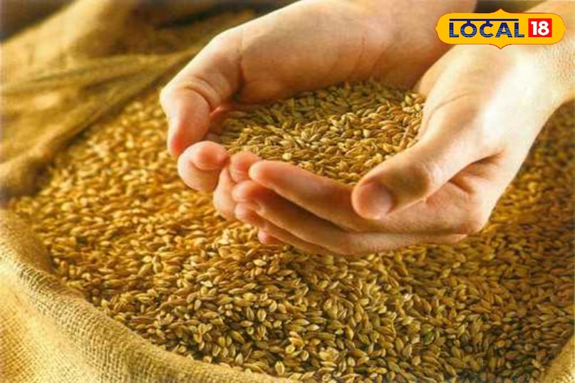 खाद्य सुरक्षा योजना 