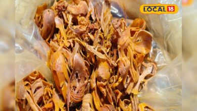 सेहत के लिए फायदेमंद है किचन का ये मसाला, पाचन, दर्द, त्वचा और इम्यूनिटी के लिए रामबाण; इसमें छिपे हैं कई गुण