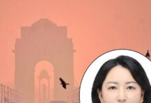 स्‍मॉग से हम भी जूझे... दिल्‍ली-NCR को प्रदूषण फ्री करने के लिए चीन ने बढ़ाया हाथ, ड्रैगन की सॉफ्ट डिप्‍लोमेसी