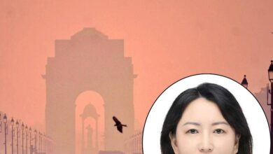 स्मॉग से हम भी जूझे... दिल्ली-NCR को प्रदूषण फ्री करने के लिए चीन ने बढ़ाया हाथ, ड्रैगन की सॉफ्ट डिप्लोमेसी