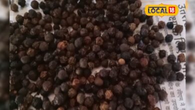 स्वाद ही नहीं... सेहत का भी खजाना है ये छोटा सा मसाला, सर्दी-खांसी से लेकर शुगर तक में कारगर; जानें चमत्कारी फायदे