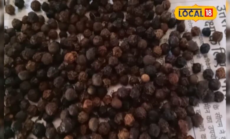 स्वाद ही नहीं... सेहत का भी खजाना है ये छोटा सा मसाला, सर्दी-खांसी से लेकर शुगर तक में कारगर; जानें चमत्कारी फायदे