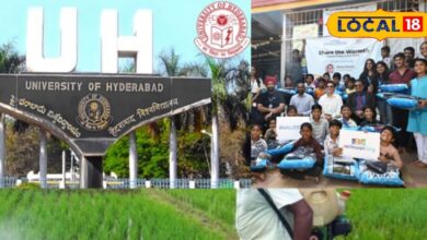 हैदराबाद यूनिवर्सिटी ने रोज़मेरी खेती हेतु नई नैनो तकनीक बनाई