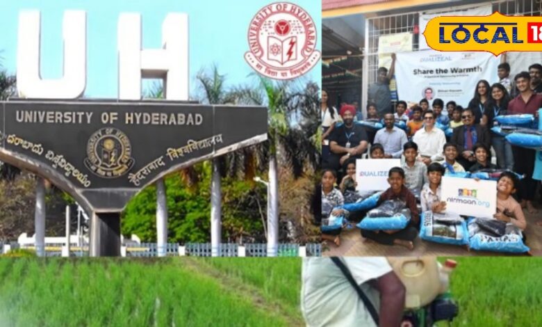 हैदराबाद यूनिवर्सिटी ने रोज़मेरी खेती हेतु नई नैनो तकनीक बनाई