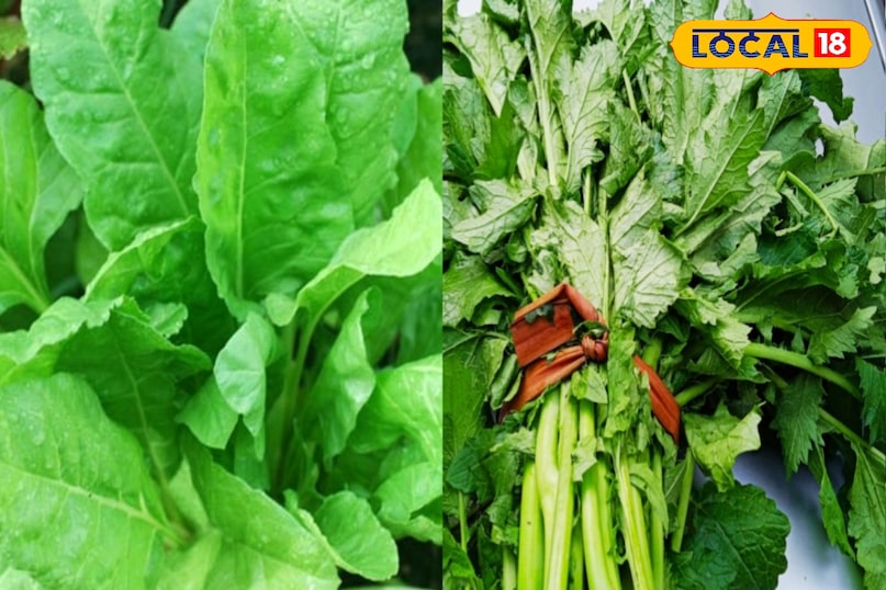 हरी सब्जियां 