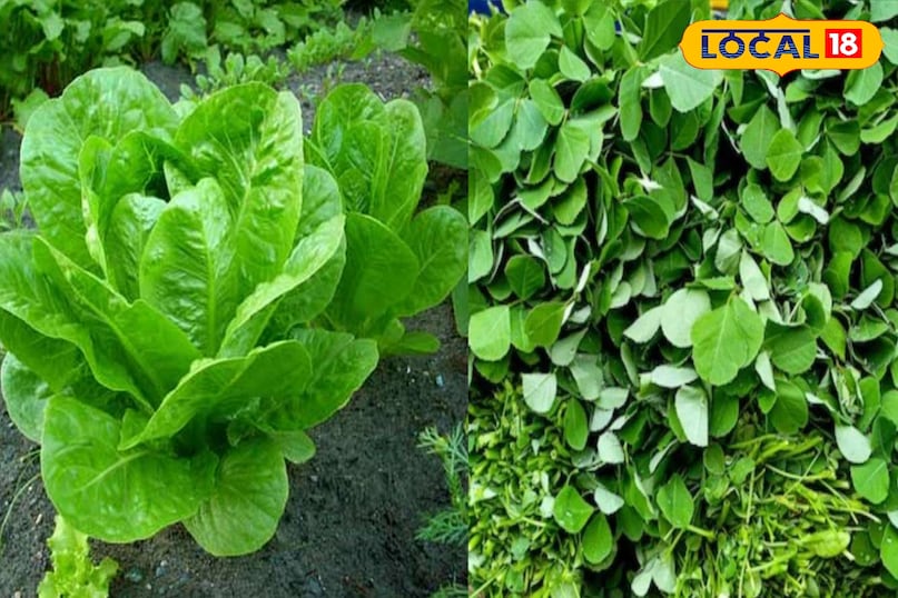 हरी सब्जियां 