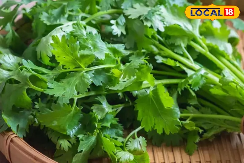 हरी सब्जियां 