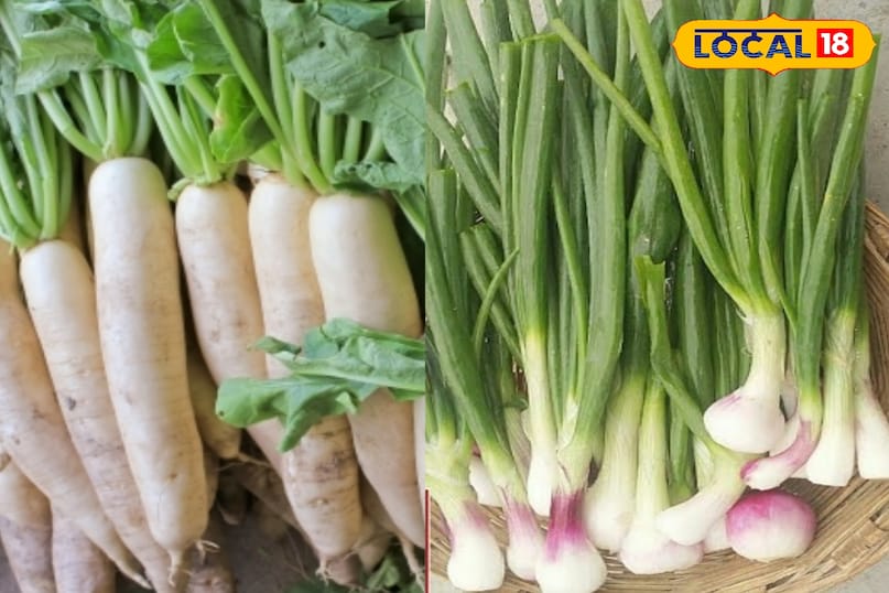 हरी सब्जियां 