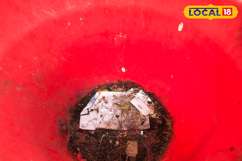 Dustbin Cleaning Tips – घर का डस्टबिन कैसे रखें बदबू-रहित 