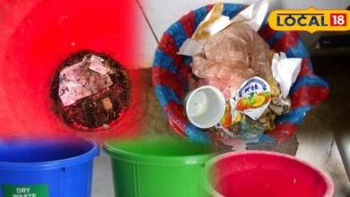 डस्टबिन सफाई कैसे करें? | Dustbin Cleaning Tips & Tricks for Home Hygiene