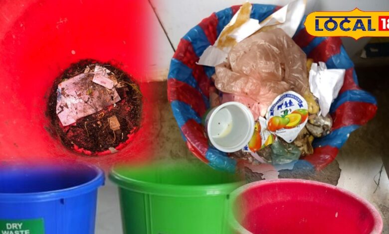 डस्टबिन सफाई कैसे करें? | Dustbin Cleaning Tips & Tricks for Home Hygiene