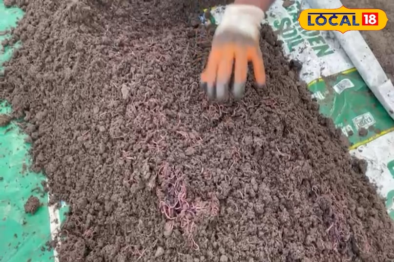 Agriculture News Agriculture News