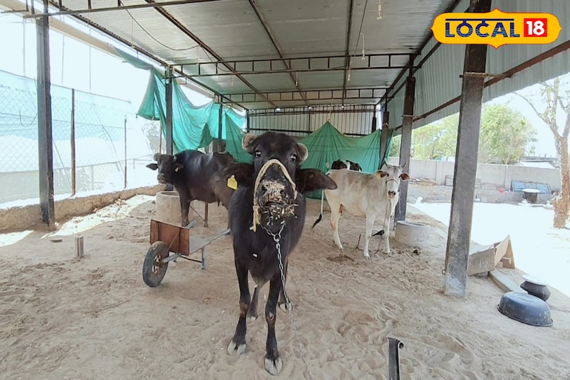 Agriculture News Agriculture News