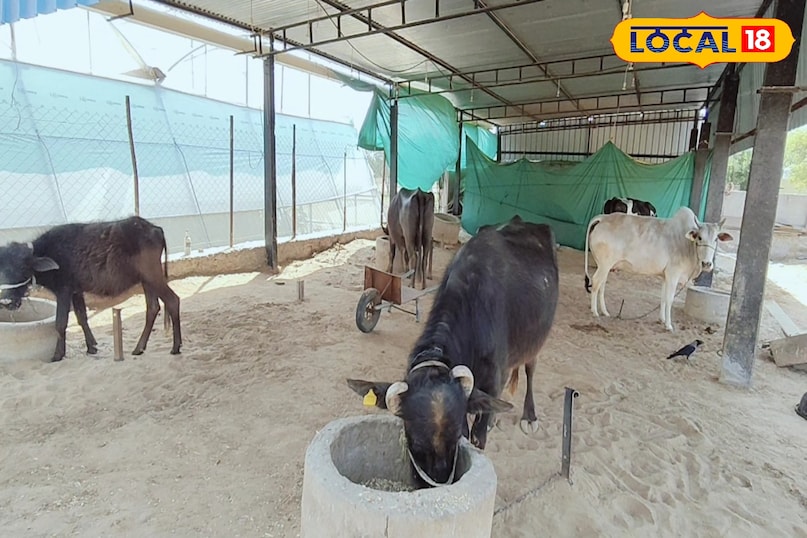 Agriculture Tips Agriculture Tips