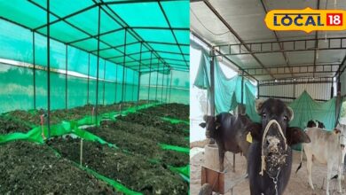 Vermicompost Scheme Farmers | Government Subsidy Vermicompost | Vermicompost Unit Grant | Agriculture Subsidy India | Farmer Support Scheme | Organic Farming Subsidy