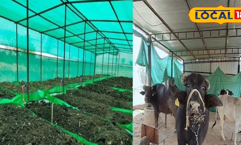 Vermicompost Scheme Farmers | Government Subsidy Vermicompost | Vermicompost Unit Grant | Agriculture Subsidy India | Farmer Support Scheme | Organic Farming Subsidy