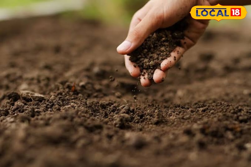 जोधपुर जोधपुर