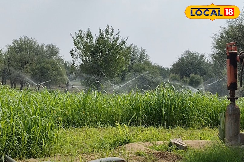 गुड न्यूज 