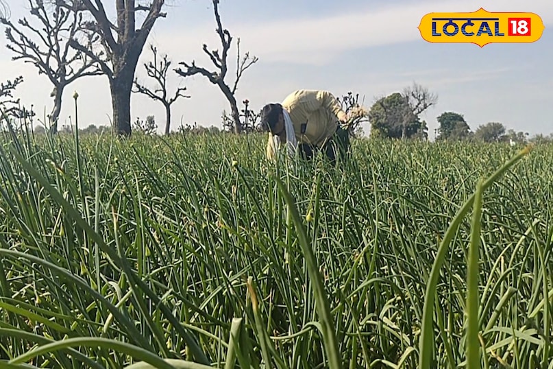 गुड न्यूज 