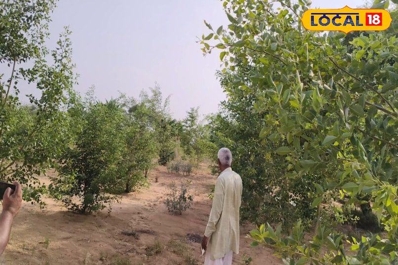 गुड न्यूज 