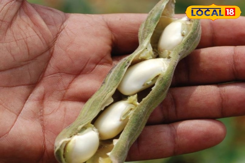 हेल्थ टिप्स 