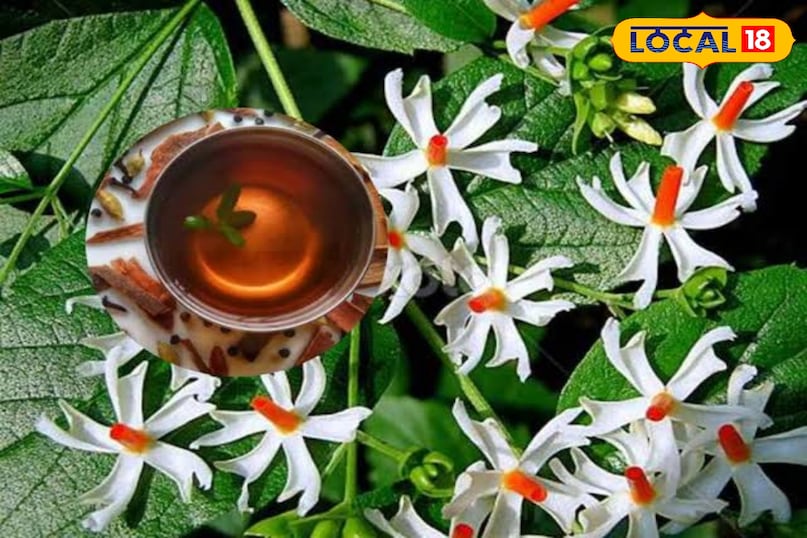 हारश्रृंगार का काढ़ा हारश्रृंगार का काढ़ा