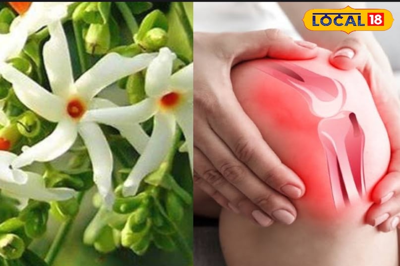 घुटने का दर्द घुटने का दर्द