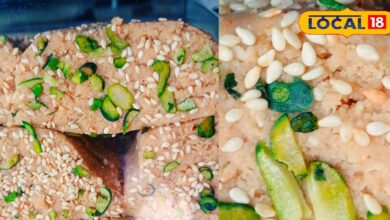 Bharatpur khoya til gajak | Winter special gajak | Famous Bharatpur sweets | Til gajak popularity | Traditional Indian sweets | Khoya til gajjak taste | Rajasthan winter sweets | Best gajak in Bharatpur